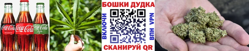 где найти   Енисейск  мориарти наркотические препараты  Cannafood марихуана 