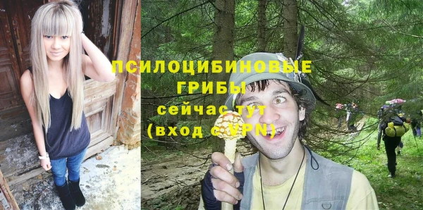 дурь Алексеевка